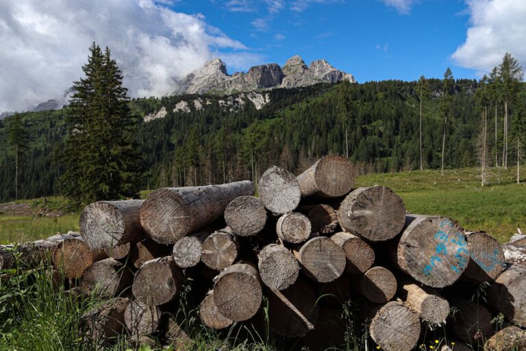 Lire la suite à propos de l’article Pourquoi choisir des briquettes de bois pour se chauffer